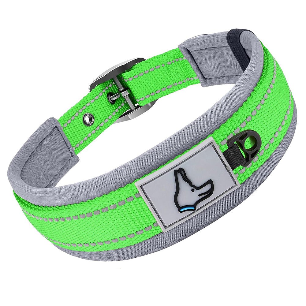 Collier pour Chien | Robuste et Confortable