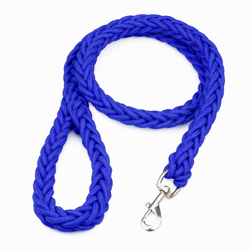 Une laisse de chien | Robuste et Confortable