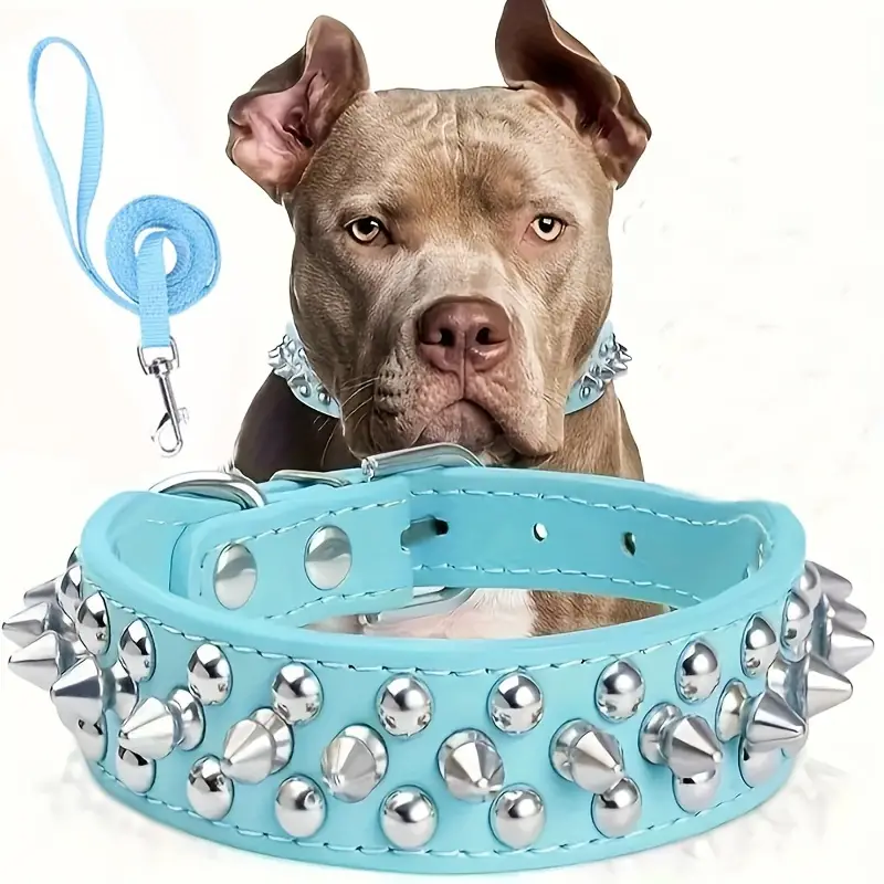 Collier pour chien cuir | Confort et Sécurité