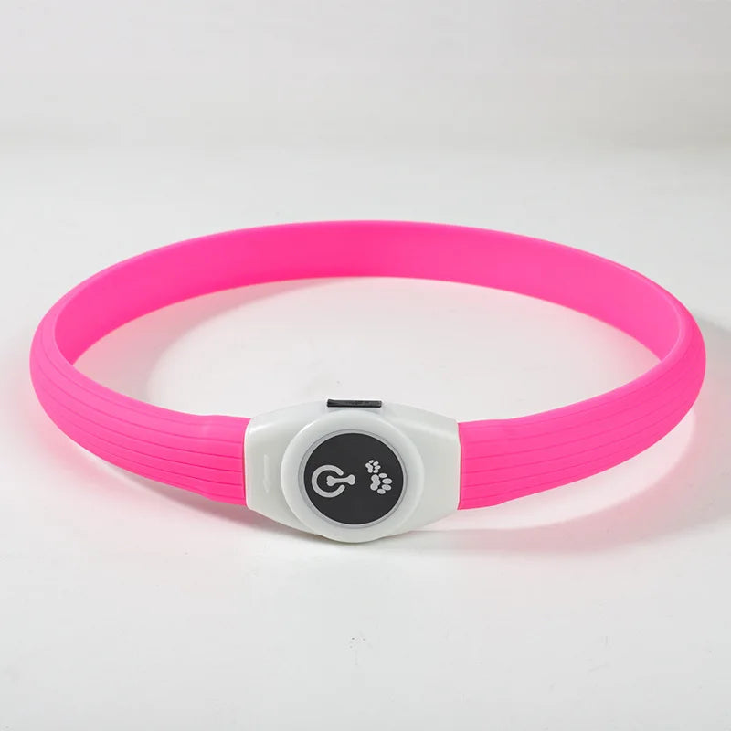 Collier chien lumineux | Rechargeable USB