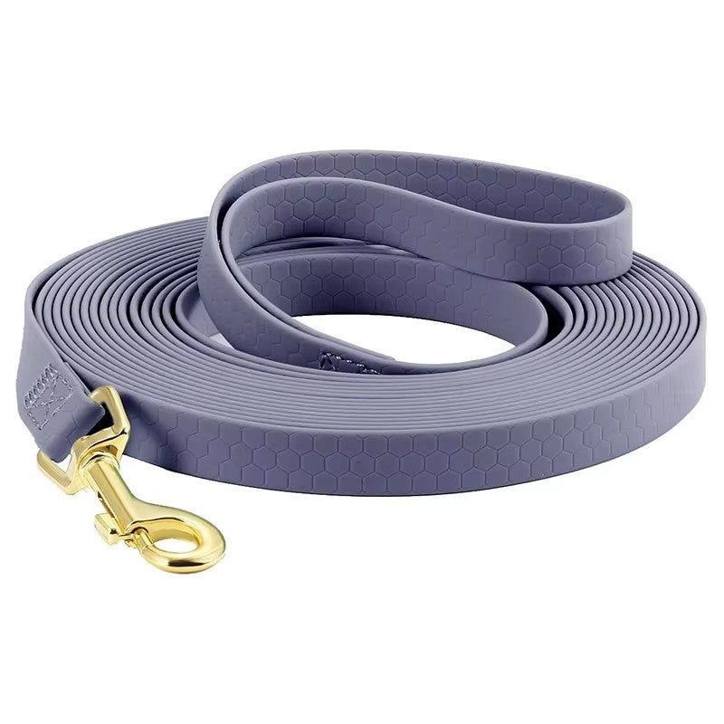 Longes Chien | Résistantes et Confortables