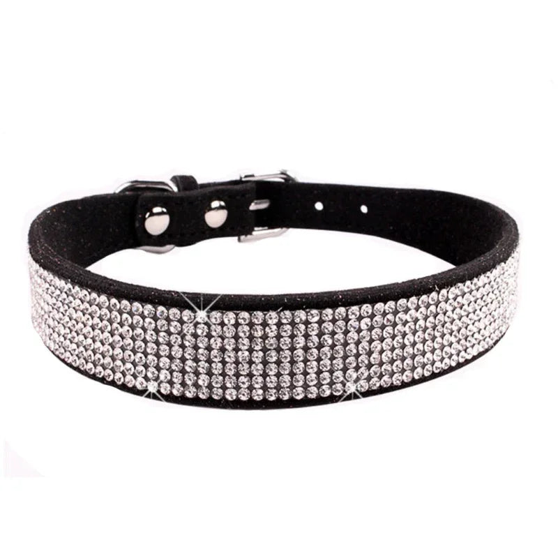 Collier pour Chien en Cuir | Résistant et Confortable