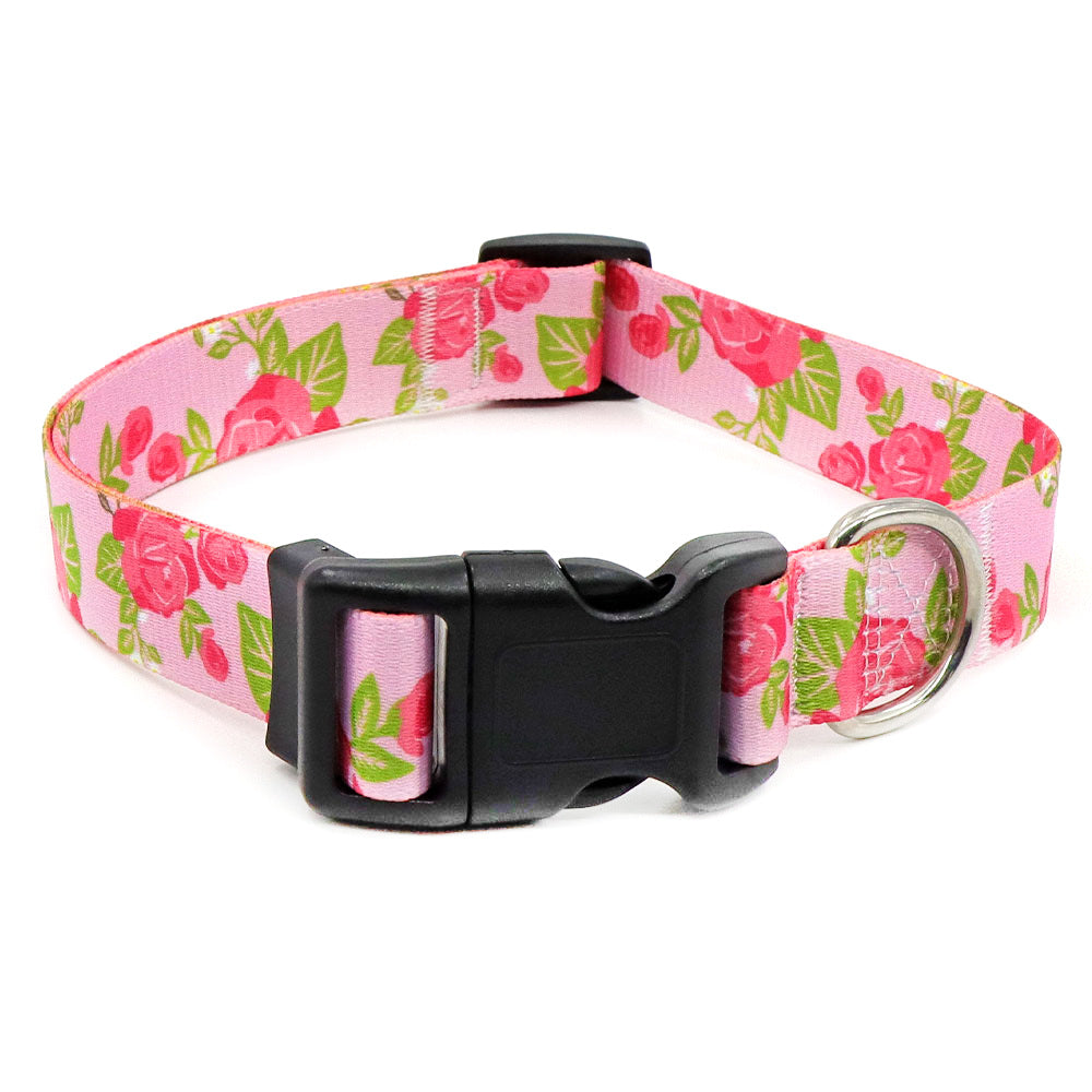 Collier Chien | Résistant et Confortable
