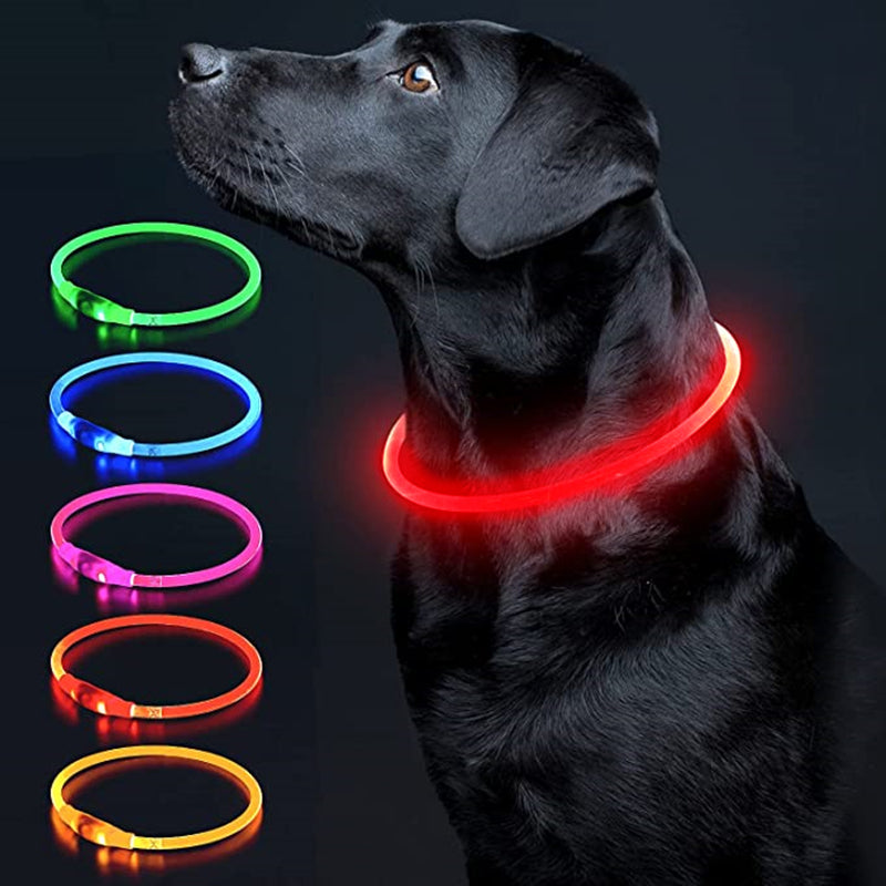 Collier lumineux chien rechargeable | Confort et Visibilité