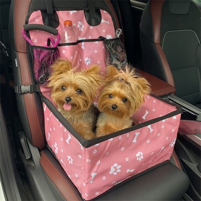 siege auto chien fixation sécurisée