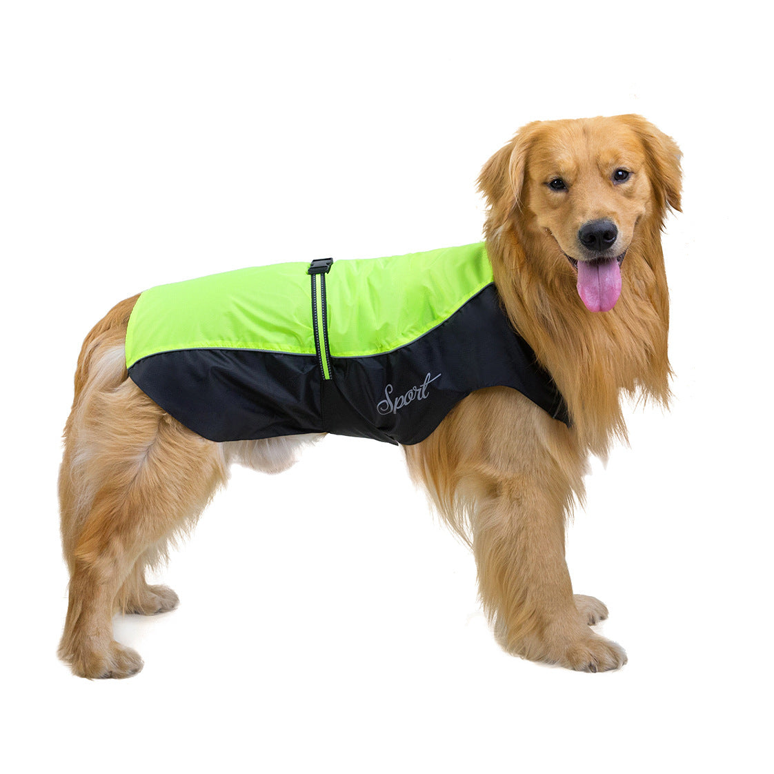 Imperméable pour chien | Tous temps