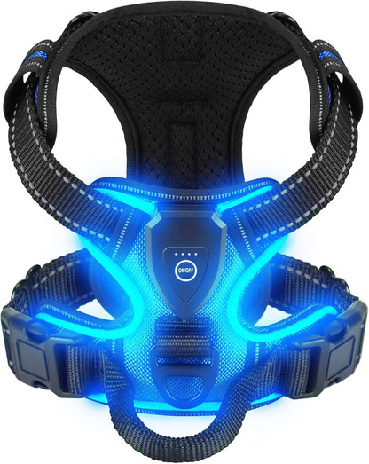 Harnais lumineux chien | Confort Premium