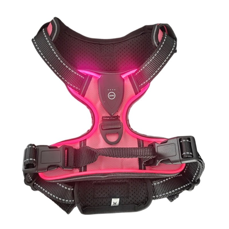 Harnais lumineux chien | Confort Premium