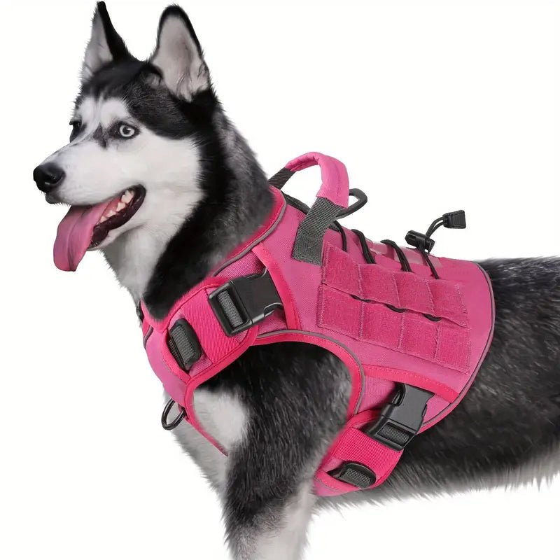 Harnais anti traction chien | Confort Anti-Traction