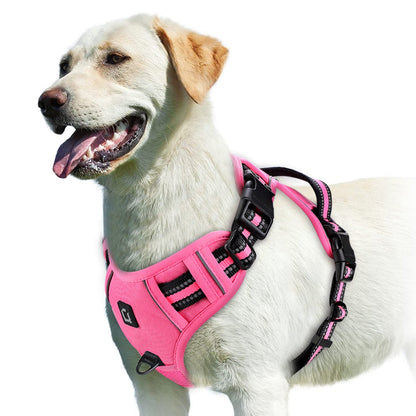Harnais chien | Confort Optimal
