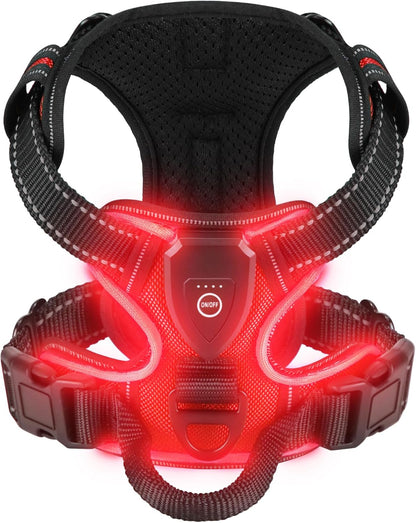 Harnais lumineux chien | Confort Premium