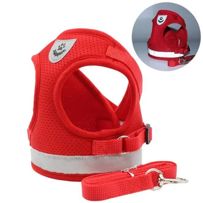 Harnais chien | Confort et Maintien