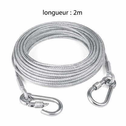 Laisse Chien Double | Premium Robuste