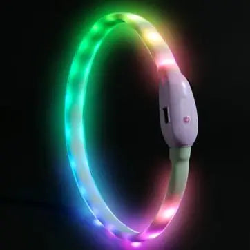 Collier lumineux chien | Résistant et Confortable