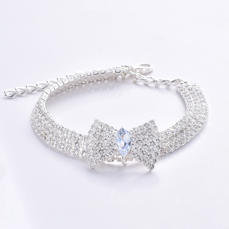 Collier chien | Robuste & Confortable