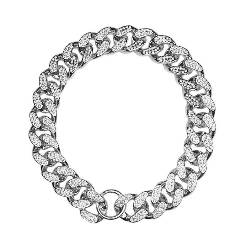 Collier pour chien | Original et Léger