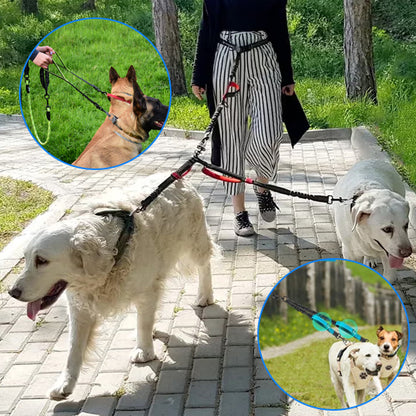 balade chien avec double laisse pour chien mains libre