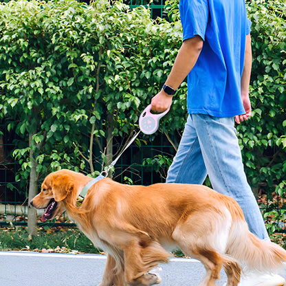 balade chien avec laisse pour chien enrouleur