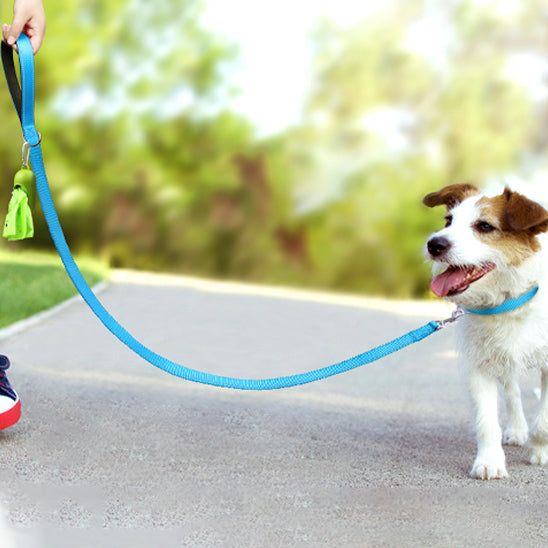balade chien avec laisse pour chien