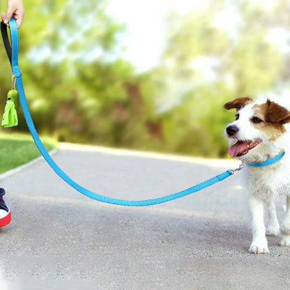 balade chien avec laisse pour chien