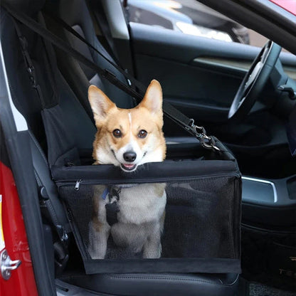 balade chien dans siege auto pour chien