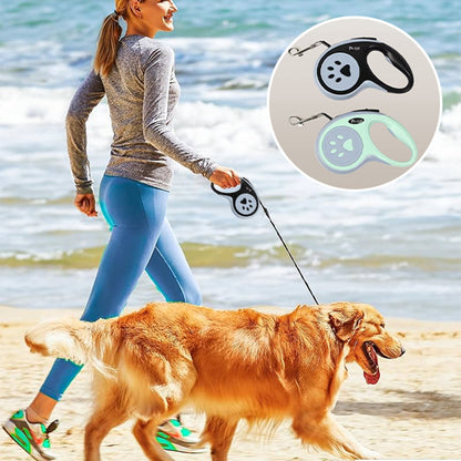 balade de chien avec laisse pour chien enrouleur