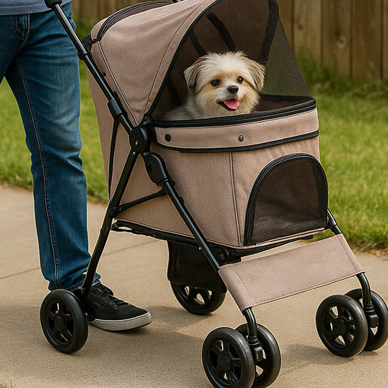 balade petit chien avec poussette pour chien