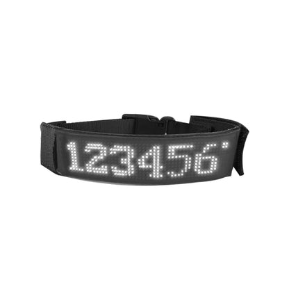 Collier lumineux chien | Rechargeable