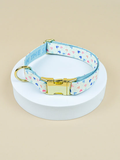Collier chiot | Ajustable et Confortable