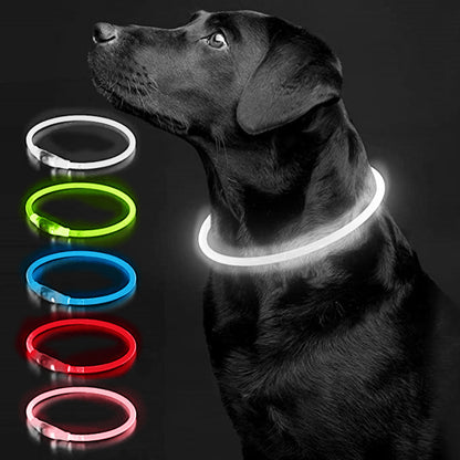 Collier lumineux chien rechargeable | Confort et Visibilité
