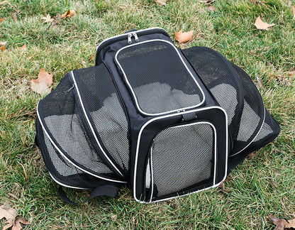Sac de transport chien | Confortable et Sécurisé
