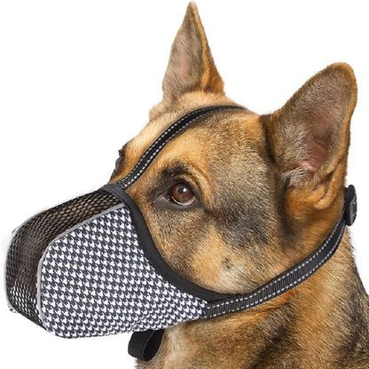 MUSELIERE CHIEN | CONFORT ASSURANCE