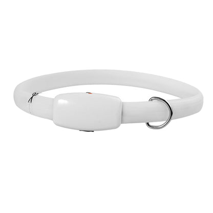 Collier lumineux rechargeable pour chien | visible et réglable