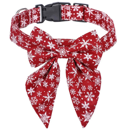 Collier Chien | Résistant Ajustable