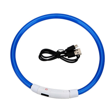 Collier lumineux chien | Rechargeable 500m