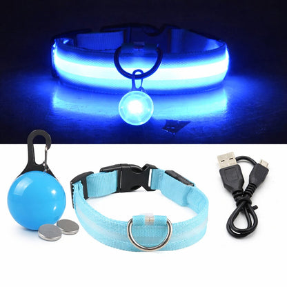 Collier lumineux pour chien | Sécurité Nocturne