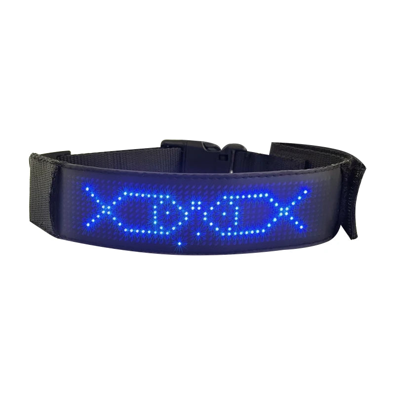 Collier lumineux chien | Rechargeable