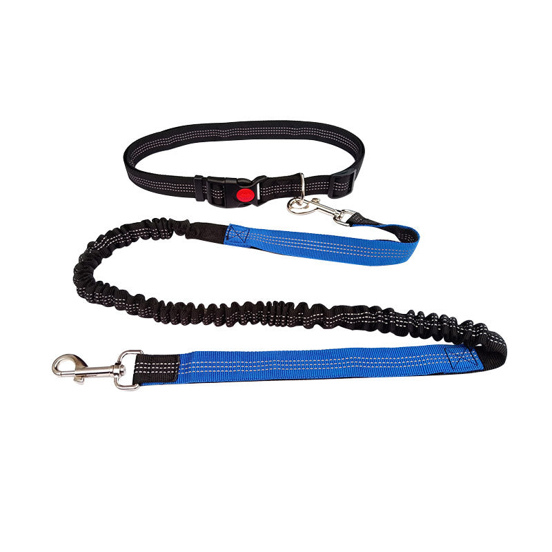 Laisse main libre chien  | Confort Optimal