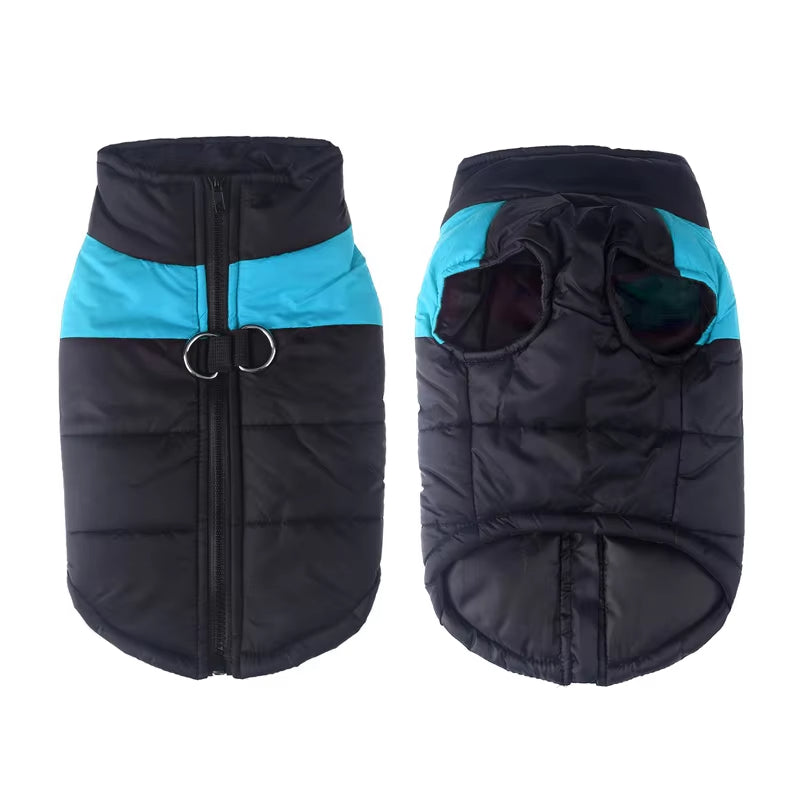 Manteau Chien | Confort Hiver