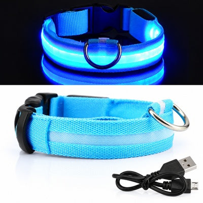 Collier lumineux pour chien rechargeable | LED 500m