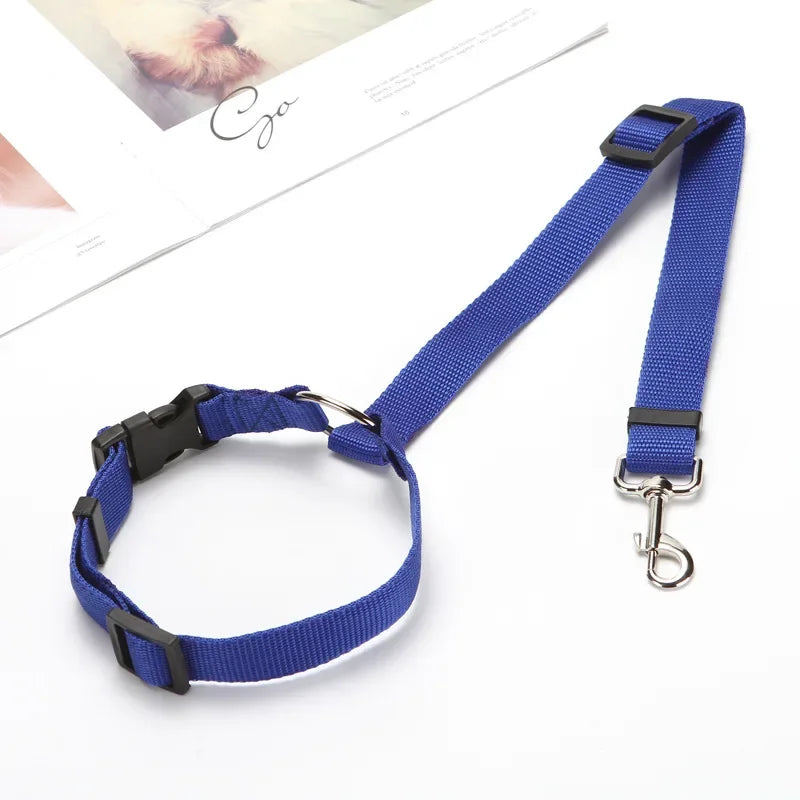 Laisse pour chien voiture | Résistante et Confortable