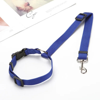 Laisse pour chien voiture | Résistante et Confortable