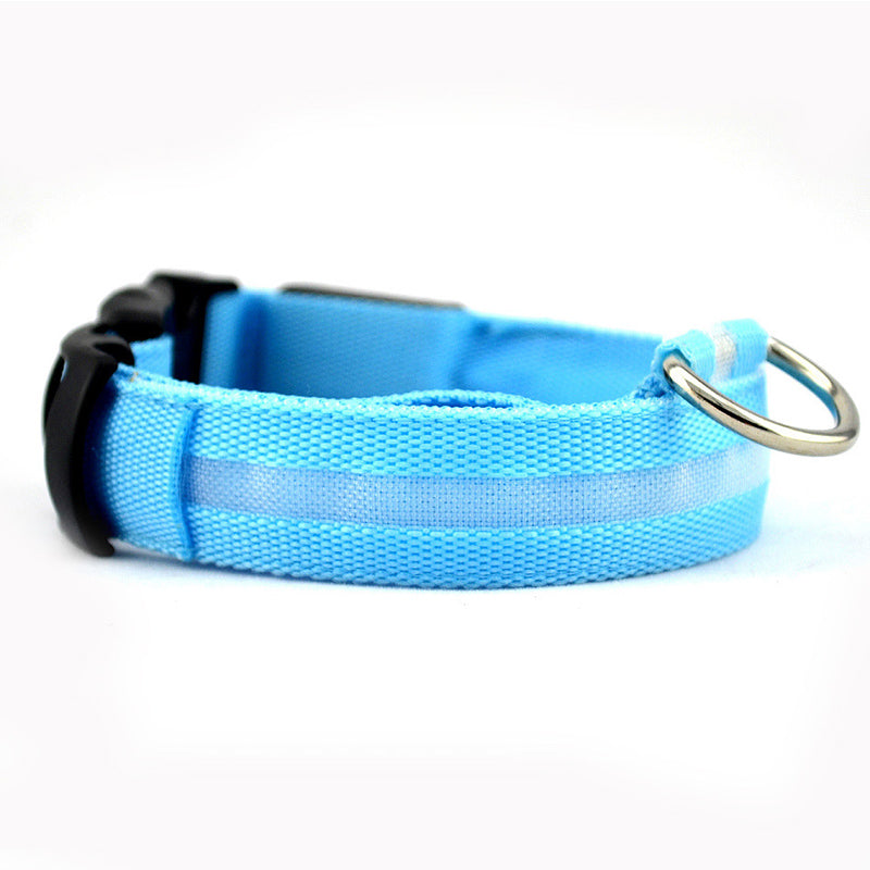 Collier lumineux pour chien | Visibilité et Sécurité