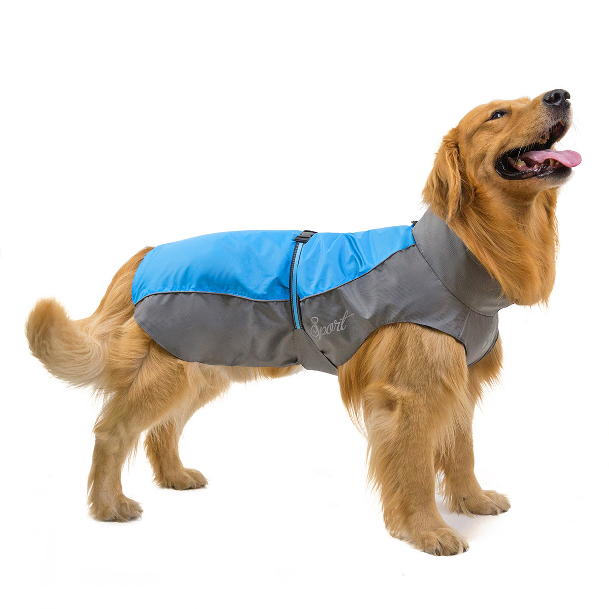 Imperméable pour chien | Tous temps