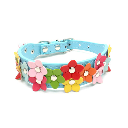 Collier chien cuir | Élégant et Robuste