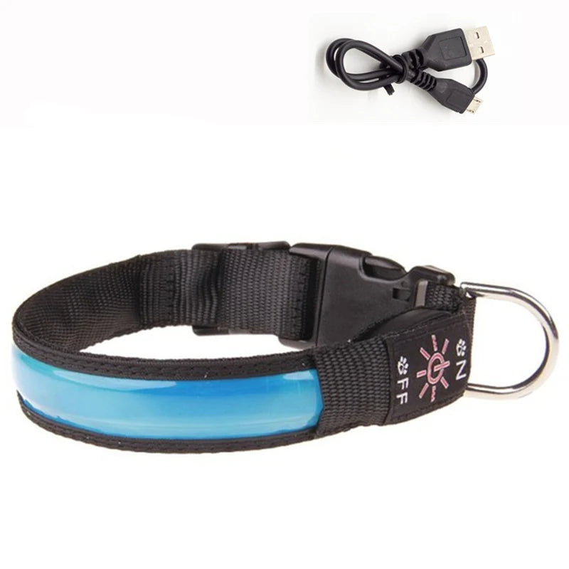 Collier lumineux rechargeable chien | Visibilité 500m