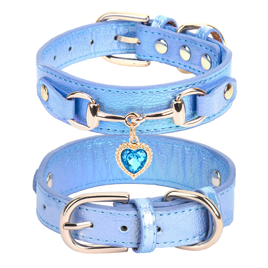 Collier Chien Cuir | Résistant et Confortable