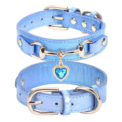 Collier Chien Cuir | Résistant et Confortable
