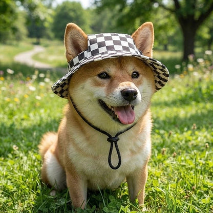 casquette pour chiens cordon réglable pratique