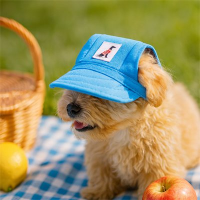 casquette pour chiens protection soleil
